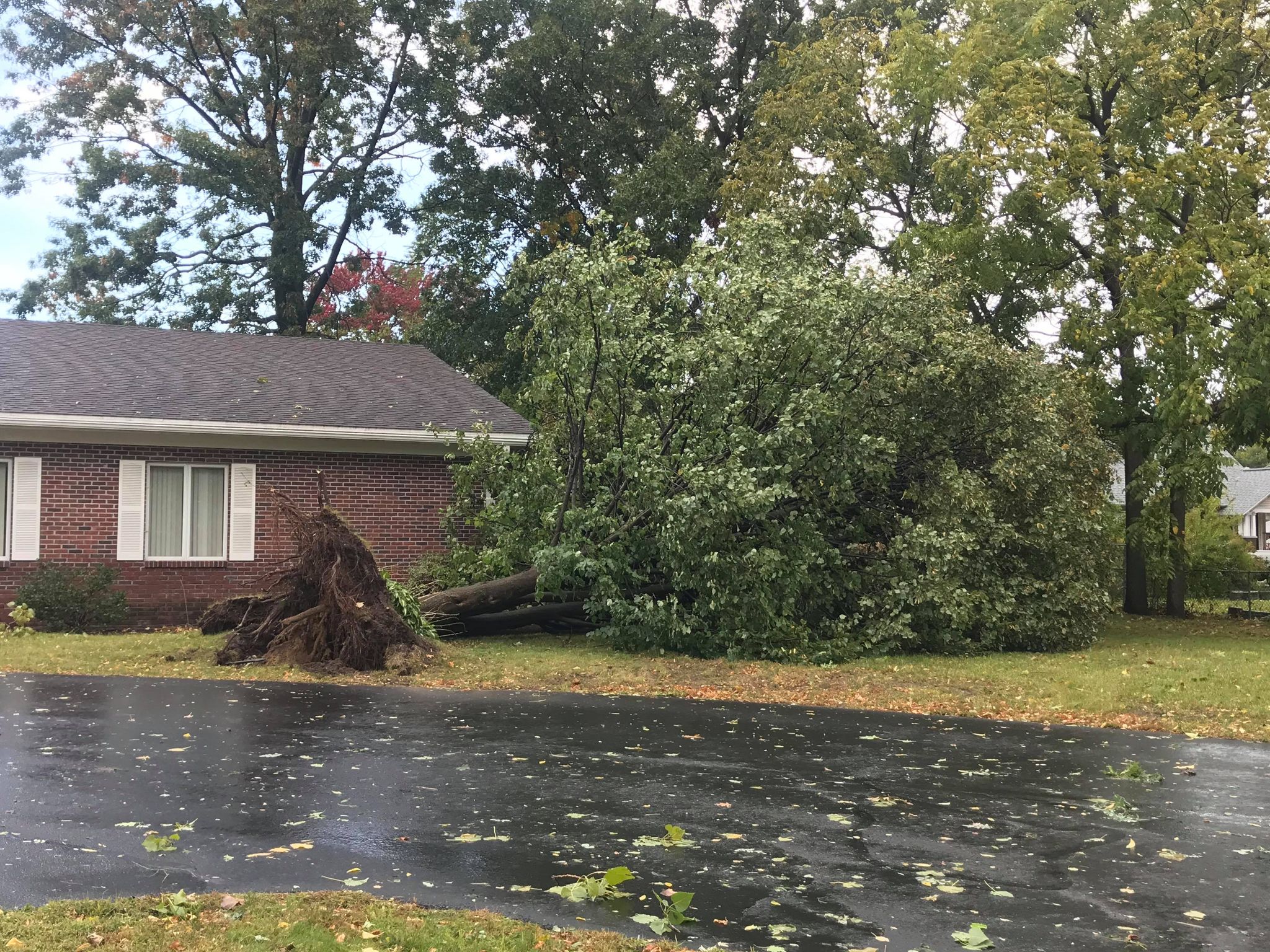 Tree damage in Schenectady - October 7, 2020